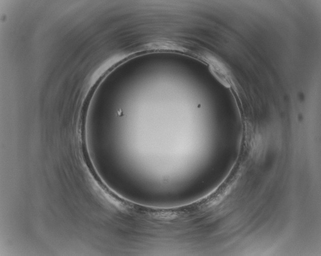 X0000062931141200601131504