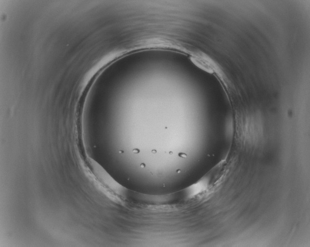 X0000062931142200601131504