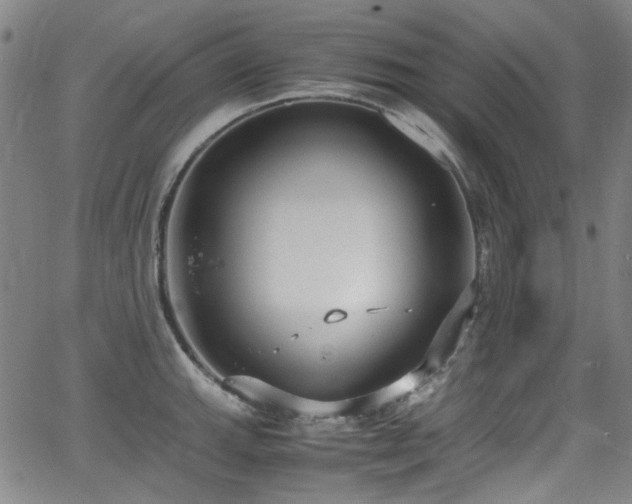 X0000062931143200601131504