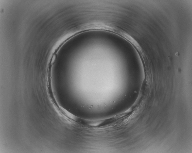 X0000062931144200601131504