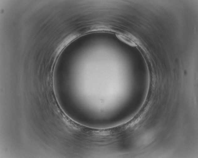 X0000062931145200601131505