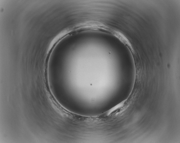 X0000062931146200601131505