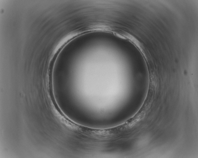 X0000062931147200601131505