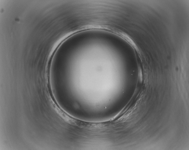 X0000062931148200601131505