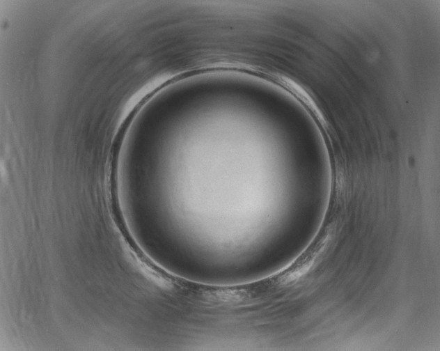 X0000062931149200601131505