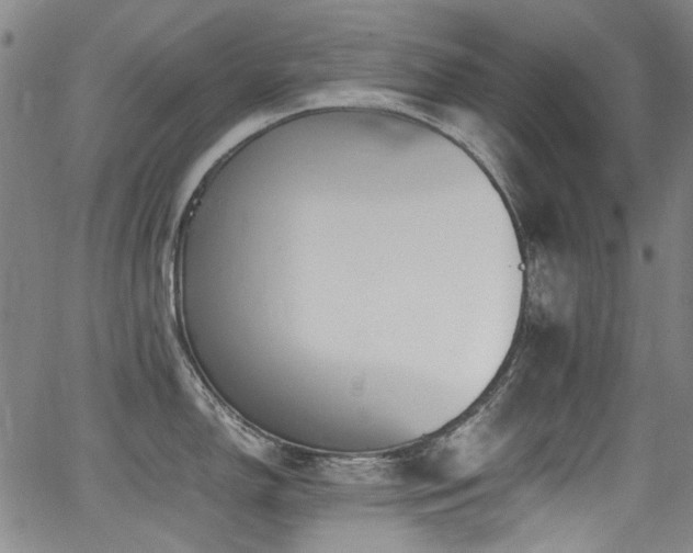 X0000062931150200601131505