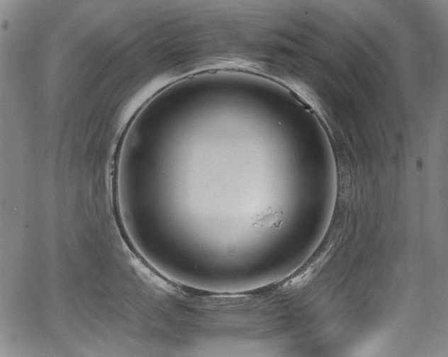 X0000062931151200601131505