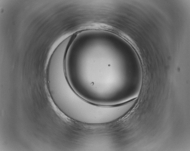 X0000062931152200601131505