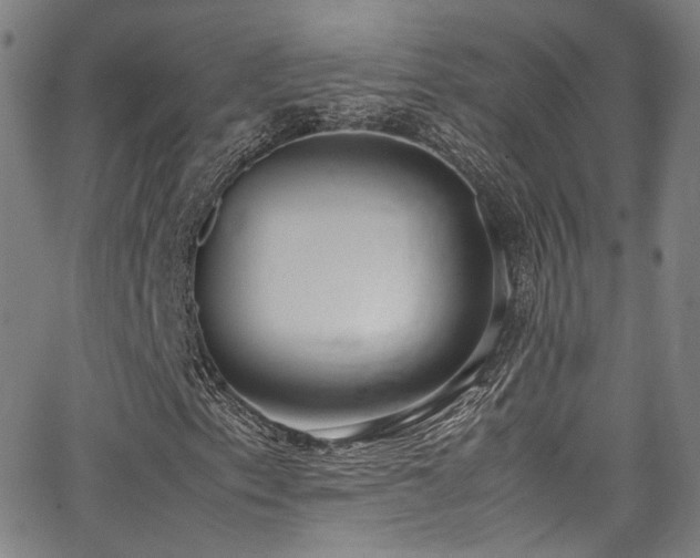 X0000062931153200601131504