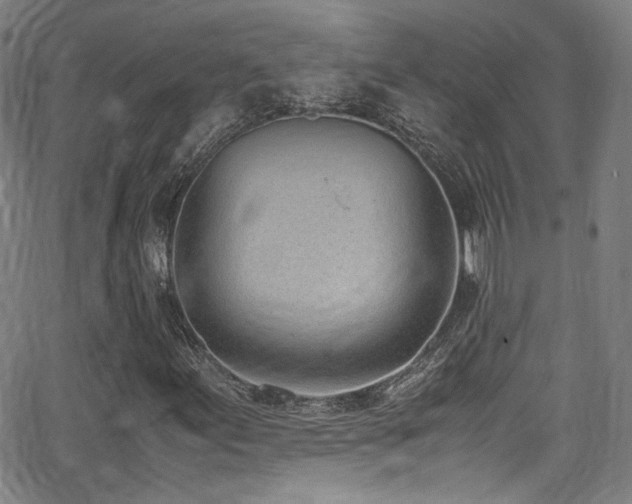 X0000062931155200601131504