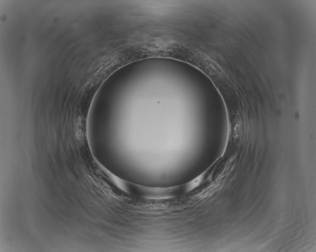 X0000062931156200601131504