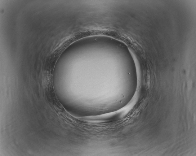 X0000062931157200601131504