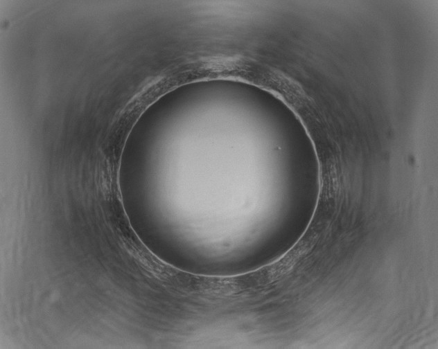 X0000062931158200601131504