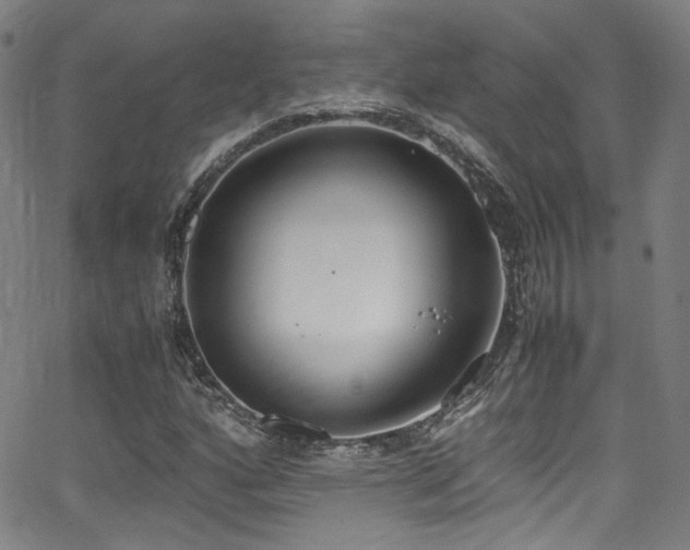 X0000062931160200601131504