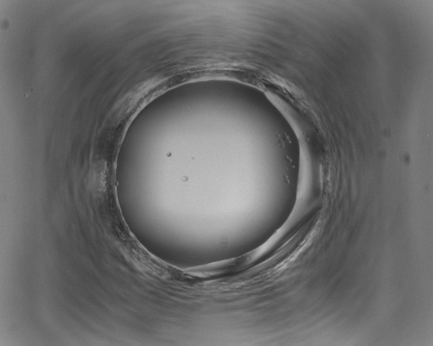 X0000062931161200601131504