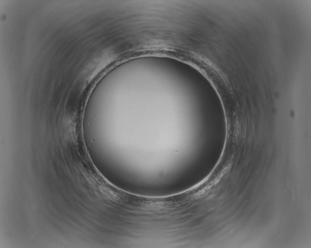 X0000062931162200601131504