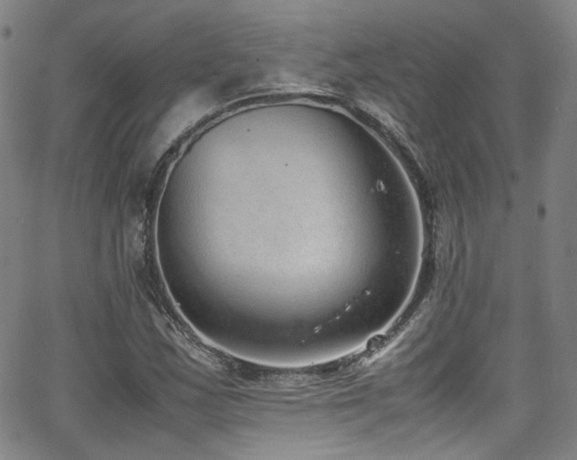 X0000062931163200601131504