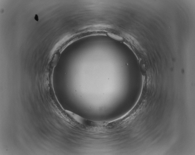 X0000062931164200601131504