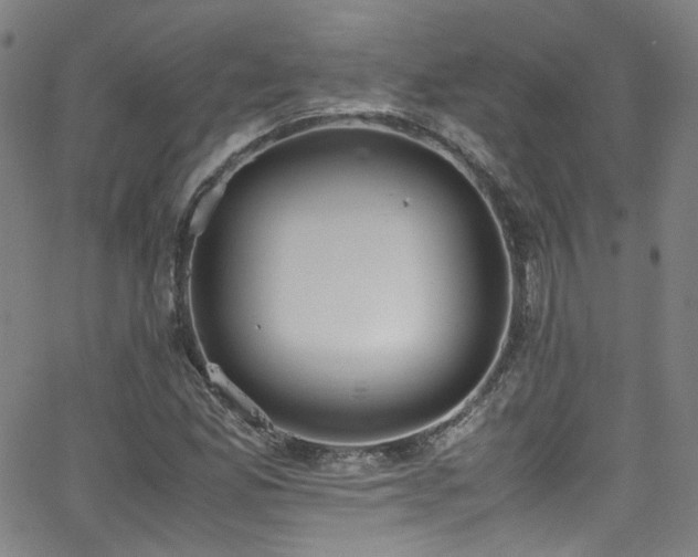 X0000062931165200601131504