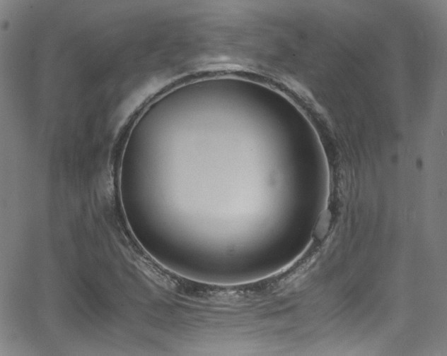 X0000062931167200601131504