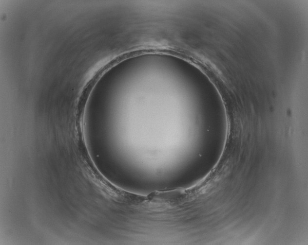 X0000062931168200601131504