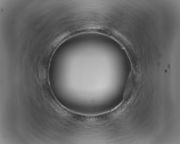 X0000062931169200601131504