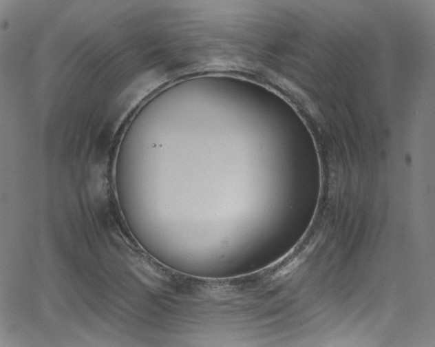 X0000062931170200601131504