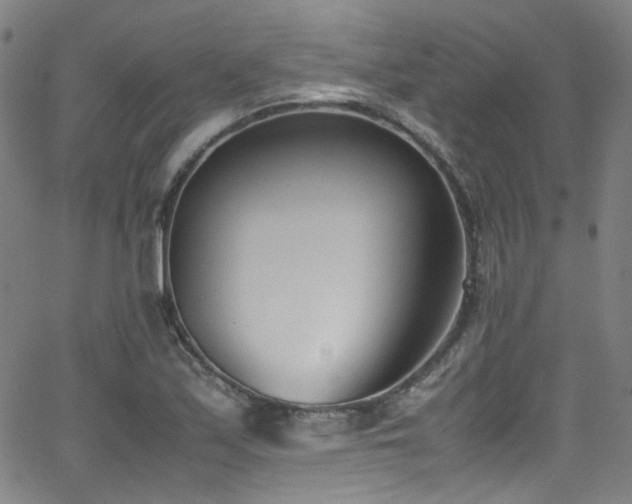 X0000062931171200601131504