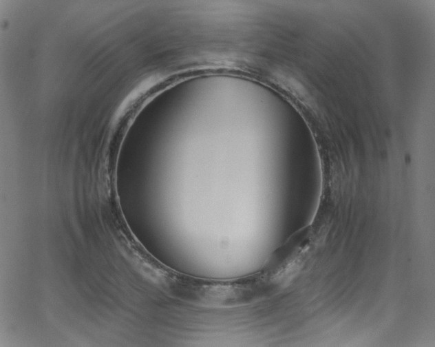 X0000062931172200601131504