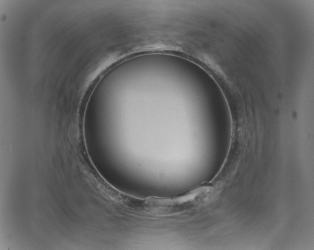 X0000062931173200601131503