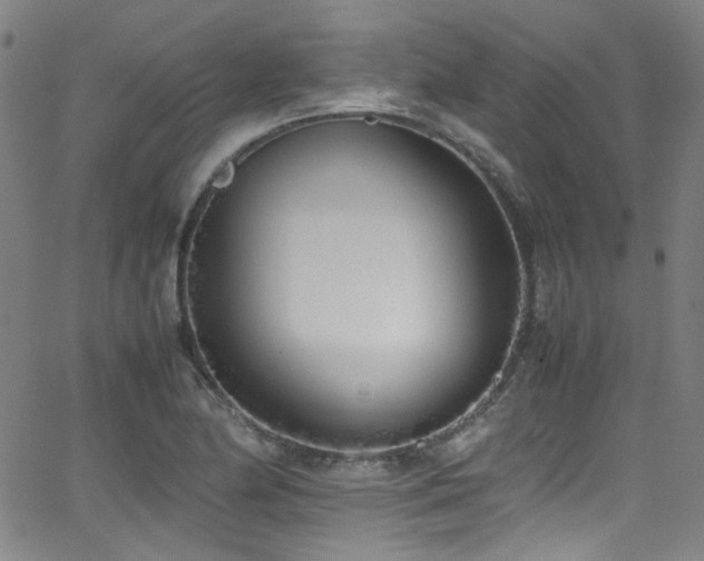 X0000062931174200601131503