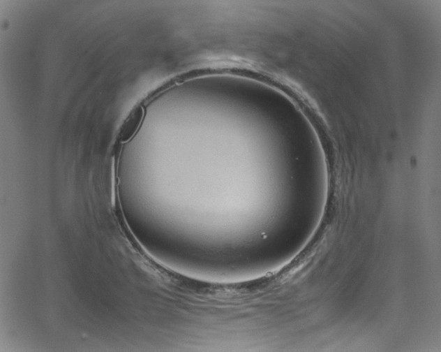 X0000062931175200601131503