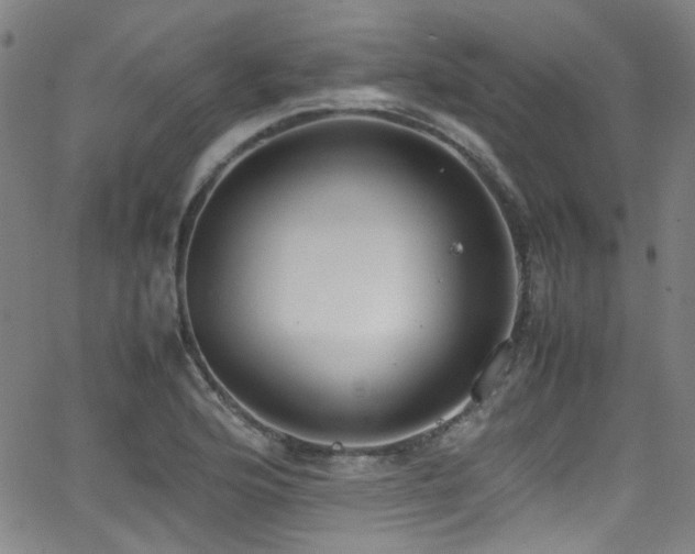 X0000062931176200601131503