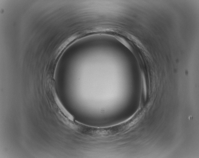 X0000062931177200601131503