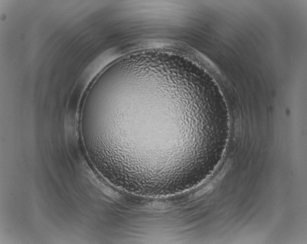 X0000062931178200601131503