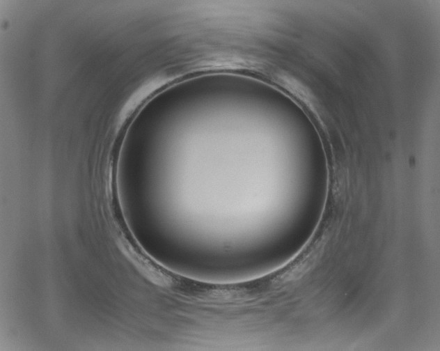 X0000062931179200601131503