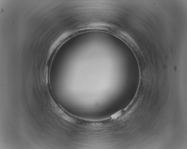 X0000062931180200601131503