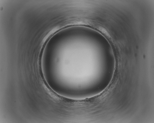 X0000062931181200601131503