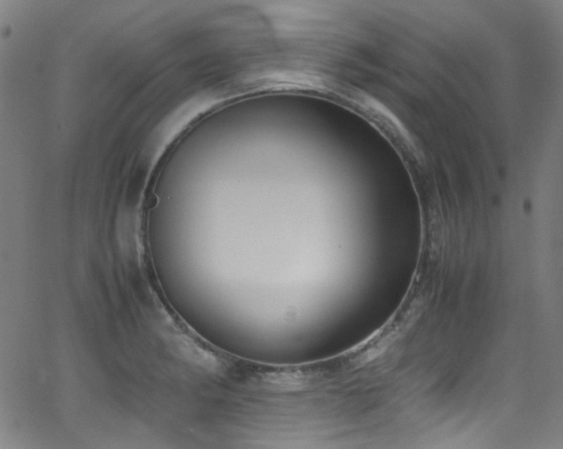 X0000062931182200601131503