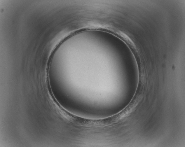 X0000062931183200601131503