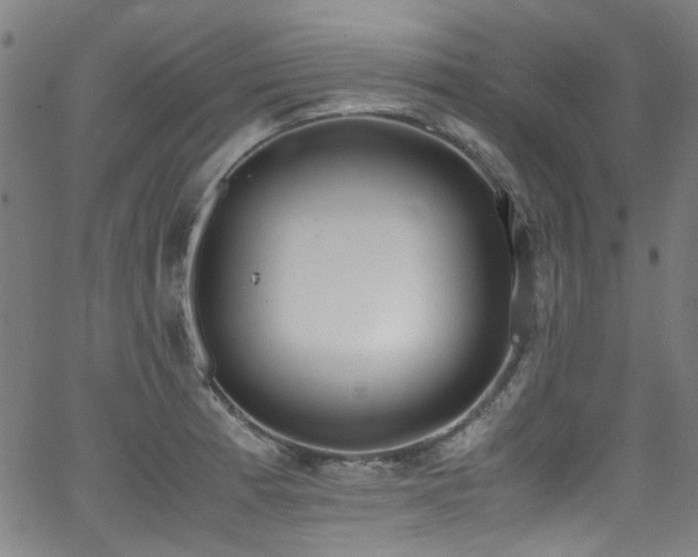 X0000062931185200601131503