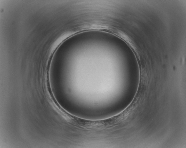 X0000062931187200601131503