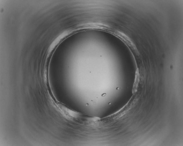 X0000062931188200601131503