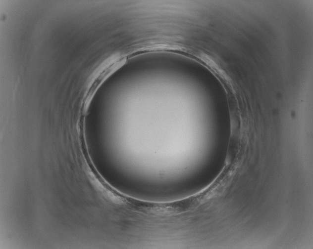 X0000062931189200601131503