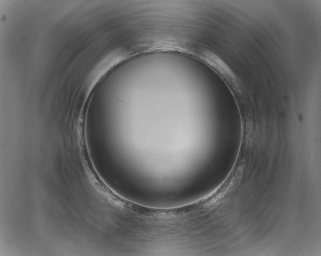 X0000062931190200601131503