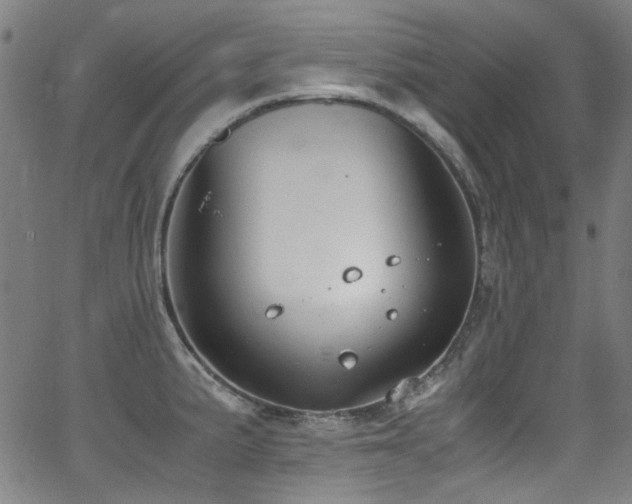 X0000062931191200601131503