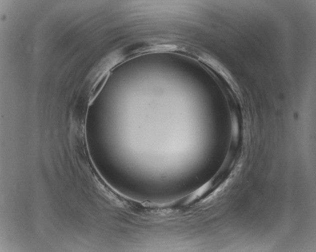 X0000062931193200601131503