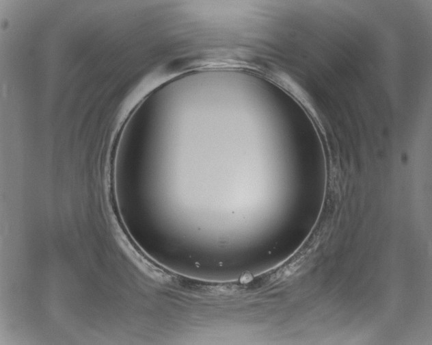 X0000062931195200601131503