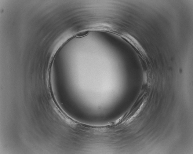 X0000062931196200601131503