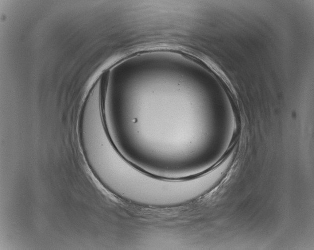 X0000062931197200601131503